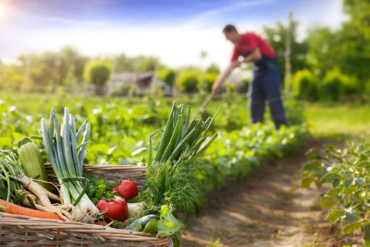 Ganadería & Agricultura